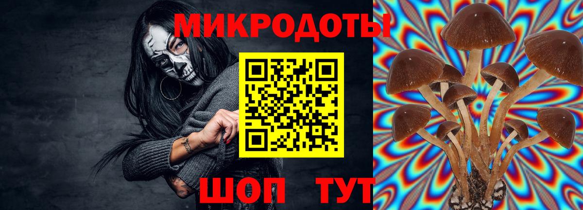 Галлюциногенные грибы ЛСД  Вход с VPN  Вышний Волочёк 